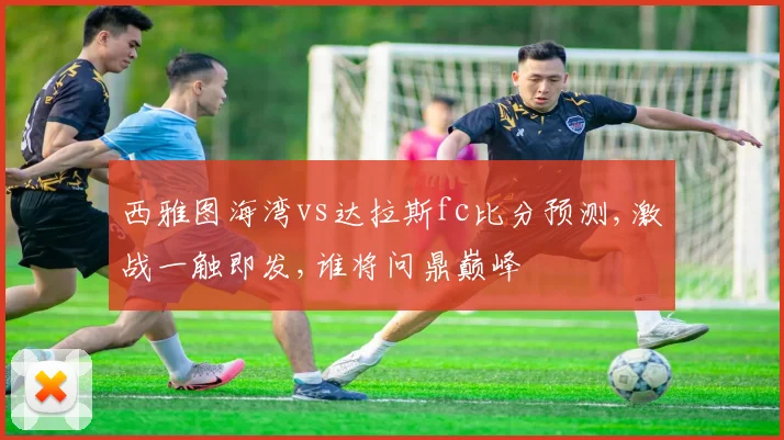 西雅图海湾vs达拉斯fc比分预测,激战一触即发,谁将问鼎巅峰